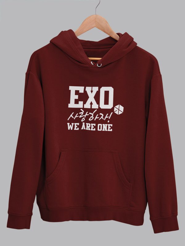 exo hoodie online